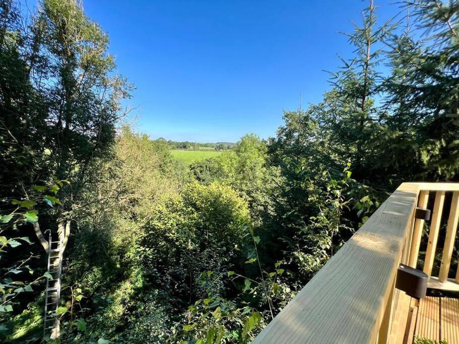 The Pines Treehouse At Treetops Hideouts Richmond  Extérieur photo