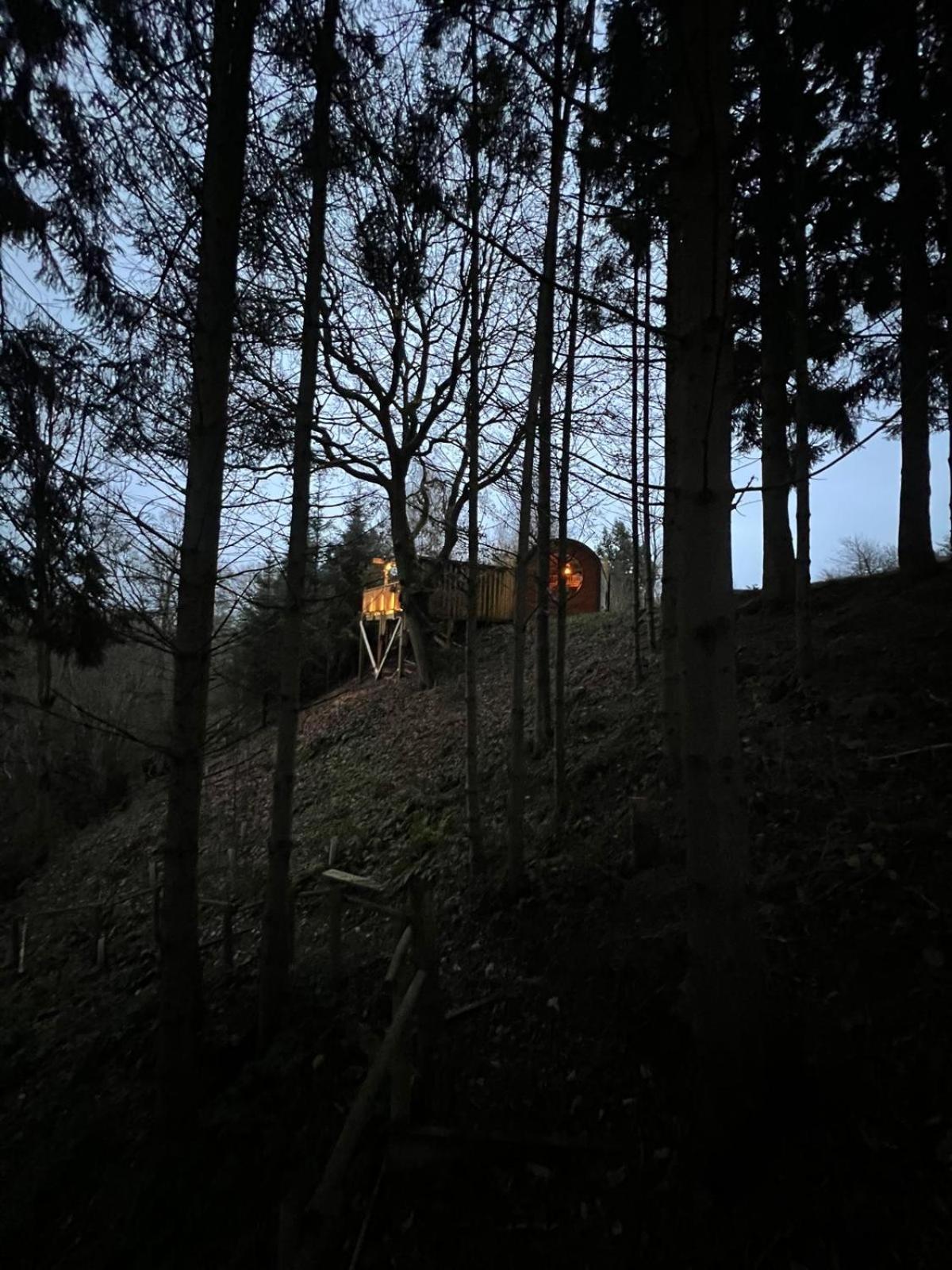 The Pines Treehouse At Treetops Hideouts Richmond  Extérieur photo